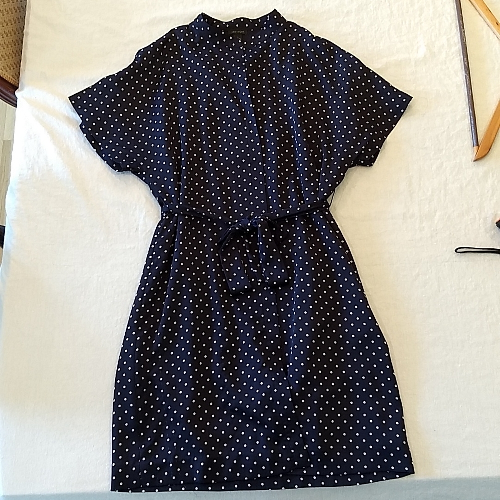Ann Taylor Navy White Polka Dot Dress Small